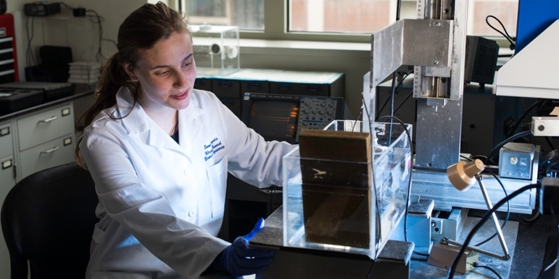 Student working in a lab